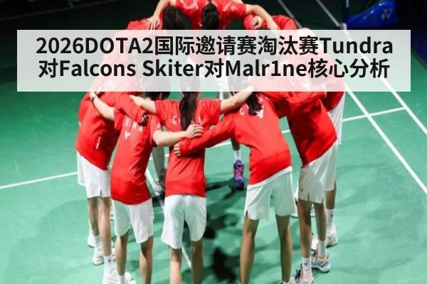 2026DOTA2国际邀请赛淘汰赛Tundra对Falcons Skiter对Malr1ne核心分析